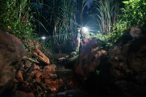 BIB: 
                            <button type="button" onclick="openModal(26416517)" class="btn btn-primary btn-sm float-right btn-popup" data-toggle="modal" data-target=".modal-high-quality">
                        <i class="fas fa-shopping-cart"></i> Add to Cart
                    </button>
                                            <button type="button" onclick="isThisMe(26416517, true)" class="btn btn-success btn-sm float-right btn-popup btn-isme hidden" data-toggle="tooltip" data-placement="bottom" title="นี่คือรูปของคุณใช่ไหม คลิกที่นี่เพื่อเอาเข้าอัลบั้ม">
                        <i class="fas fa-plus"></i> Add to album
                    </button>
                    <button type="button" onclick="isThisMe(26416517, false)" class="btn btn-warning btn-sm float-right btn-popup btn-isnotme hidden">
                        <i class="fas fa-ban"></i> Remove from album
                    </button>